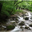 계곡 이미지