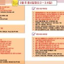 마이쏠펫 | 일정: 2026년 2월첫째주