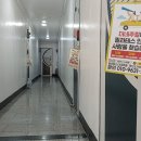 필라테스더네추럴 네이버블로그