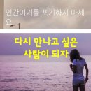 🦊야생 유해동물 길'고양이 기생충 많이 위험할까요? 출처:[[단국대 기생충학 교실 서민]] 이미지