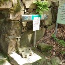 백수약수터 이미지