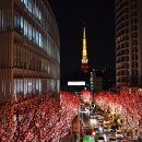 다채정식뷔페 이미지