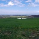 신강목장 이미지