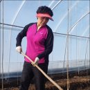 충열농장 이미지