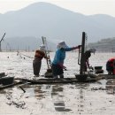 벌교생태공원 이미지