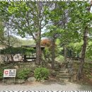 계곡과소나무 캠핑장 | 영월캠핑 자연 속 힐링, 영월 소나무와계곡캠핑장 후기