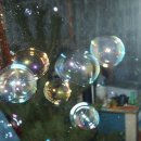 두라농장 이미지