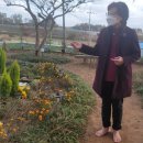 일로동초등학교 이미지