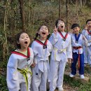 히어로태권도장 이미지