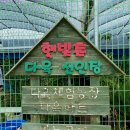 햇빛촌 농원 네이버블로그