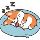 화성가설재 이미지
