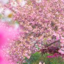 만수노인복지원 이미지