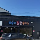 호순이수제왕돈가스 | 김해 대동 밥집: 호순이 수제 왕돈가스 내돈내산후기