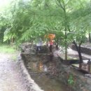 부근농장 이미지