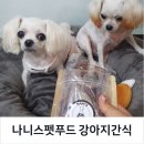 나니스펫푸드 네이버블로그