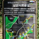 2024년12월 1일 남산 자락숲길 트레킹 이미지