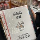아무도없개부산