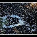 설도공원 이미지