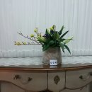 금왕한의원 이미지