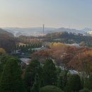 베어트리파크(베어트리커피숍)