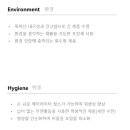 슬릭(sleek) 이미지