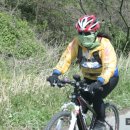 진도대교주유소 이미지