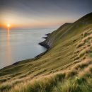 서호동-66 이미지