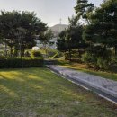 도척그린공원 야구장 이미지