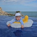 오션블리스 1 이미지