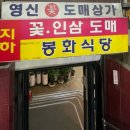 엘리펀트콤브헤어스튜디오 | Wedding 2. 웨딩 스냅 준비 하기 (알리 드레스, 고터 조화 부케, 가성비 생화 부케)