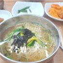 은하세탁소 | 포항 북구 창포동 국수방 내돈내산 잔치국수 후기