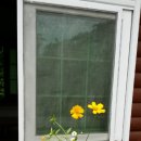 아나톨레 이미지