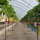 교천농장 이미지