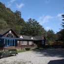 은행나무숲 주차장 부근 이미지