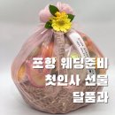 달품과