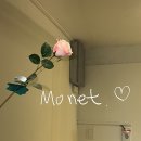 모네이야기 | 아트먼트모네 리얼후기 | 걱정했던 부분들도 적어봄
