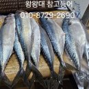 자반고등어 Daum카페