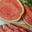 오남매농장 이미지