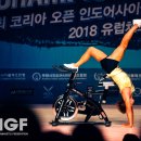 【체조부문 프로 남자개인】YY GYM｜ WIGF 제9회 코리아오픈 인도어사이클체조 선수권대회 겸 2018 유럽체조제 국가대표 1차 선발전 17.10.15 이미지