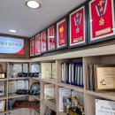 더뉴카렌트카 이미지