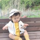 홈플러스 디어베이비 이미지