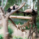 둔산중로-29 네이버블로그