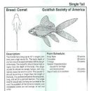 혜성환경 이미지