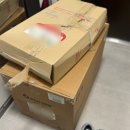 장프로 포켓하우스 | 아기용품 베이비하우스 대구점 : 멕시코시 미카 프로 카시트 내돈내산 후기