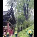 섬서성 한중시 제갈량 무후묘 풍경구 이미지