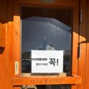 [국내여행] 부산근교 글램핑장 '캠프스테이 청도' 후기 총정리