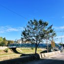 탑동대교 옆 이미지