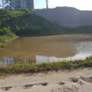 곡성-239 이미지