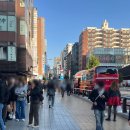 모가관광코스 | [교토] 인디고트래블 교토투어 | ①후시미이나리 신사 (포토스팟, 마리트 할인코드)