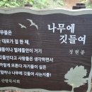 기적같은삶,기적을믿는다 이미지